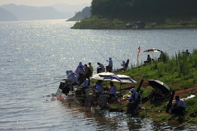 降温影响钓鱼?用这三招,大鲫鱼照样爆护,比小