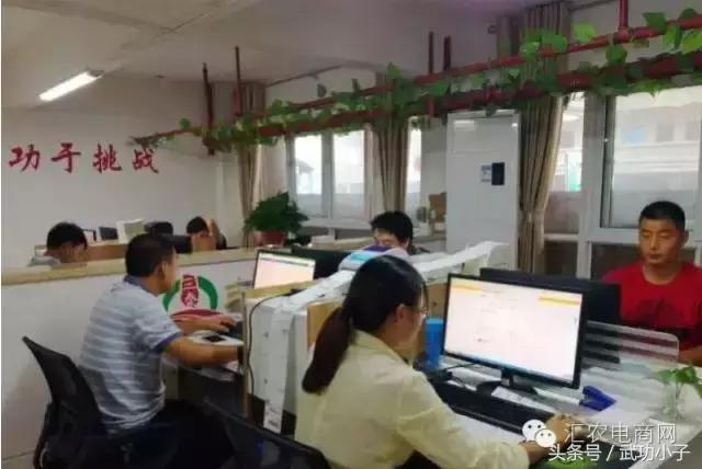 猕猴桃行业动态-国产猕猴桃价格为啥高,快递成